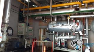 Copisces - Toledo/PR