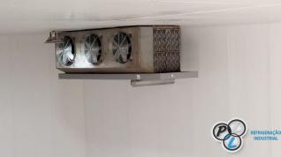 DIP Frangos - Capanema/PR