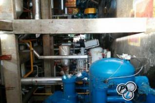 DIP Frangos - Capanema/PR