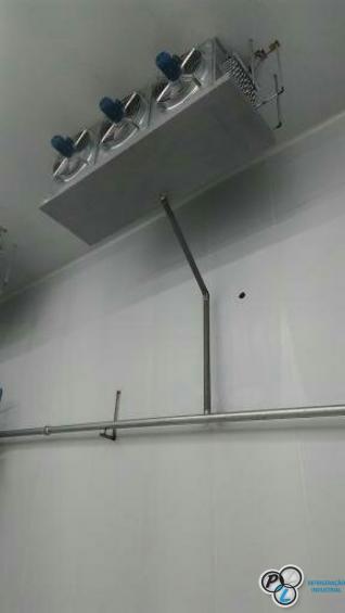 DIP Frangos - Capanema/PR